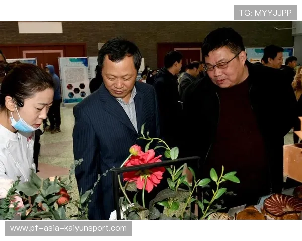 世界滑板巡回赛在城市活动中结合文化节推出青年创业与技能培训